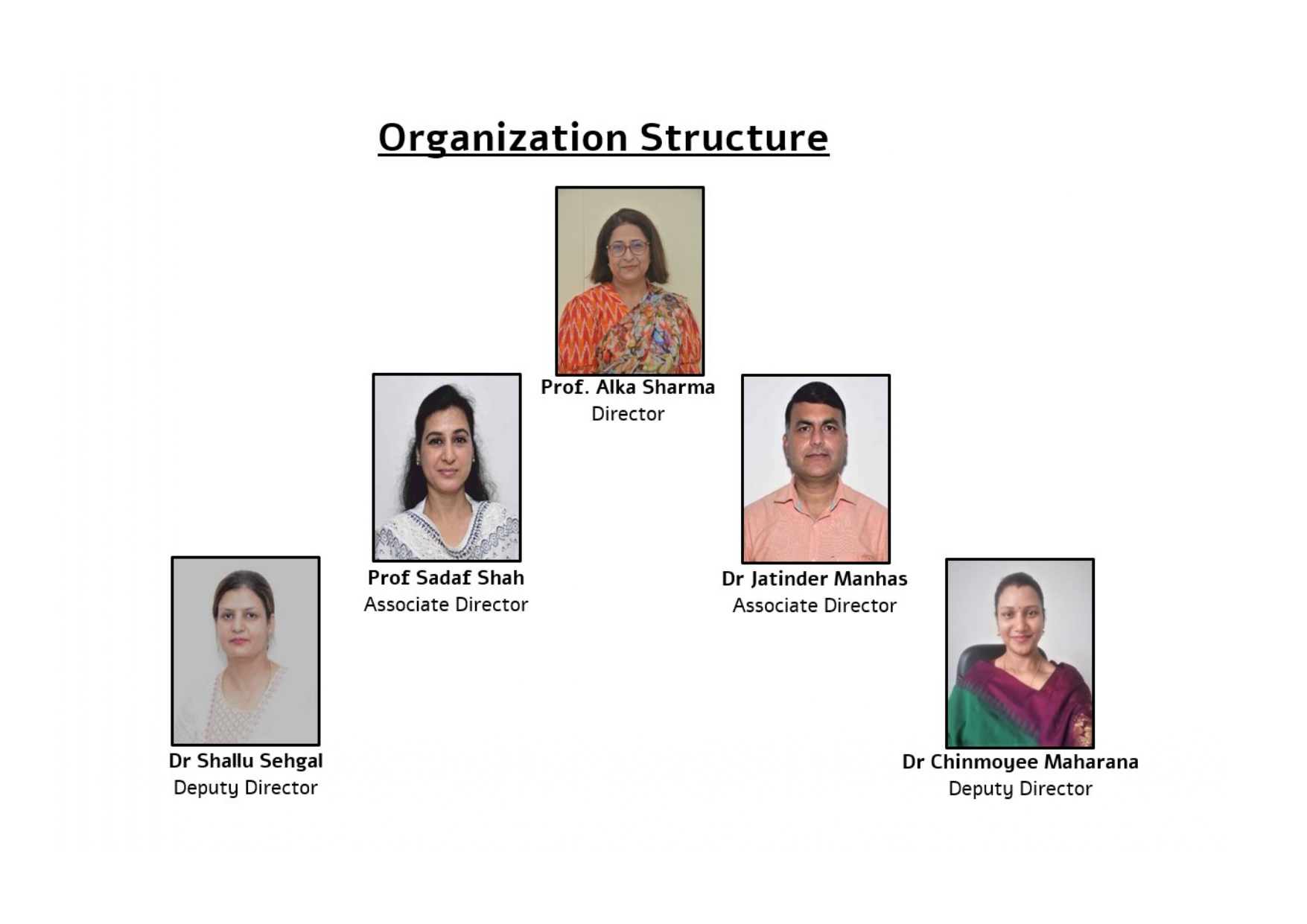 Organisational Structure